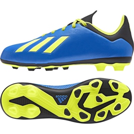 Adidas X 18.4 FxG Jr DB2419 Fußballschuhe mehrfarbig blau
