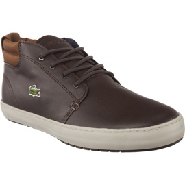 Lacoste Ampthill Terra 317 1 176 braun