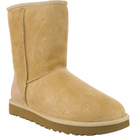 Ugg Classic Short Ii Sand gelb
