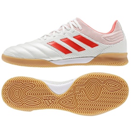 Hallenschuhe adidas Copa 19.3 IN Sala M D98065 weiß