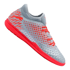 Hallenschuhe Puma Future 4.4 It M 105691-01 mehrfarbig grau