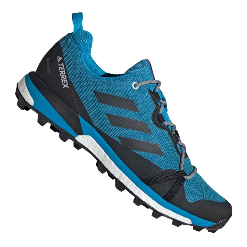 Adidas Terrex Skychaser Lt Gtx M F36107 Schuhe schwarz blau