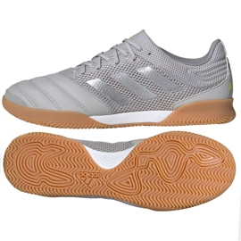 Adidas Copa 20.3 In Sala M EF8335 Fußballschuhe grau