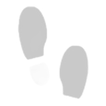 Skechers Track-Scloric 52631-BBK M 52631-BBK schwarz