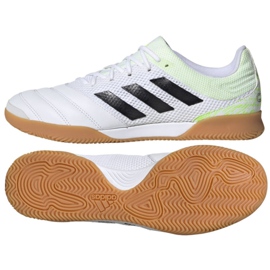 Hallenschuhe adidas Copa 20.3 In Sala M G28547 mehrfarbig weiß