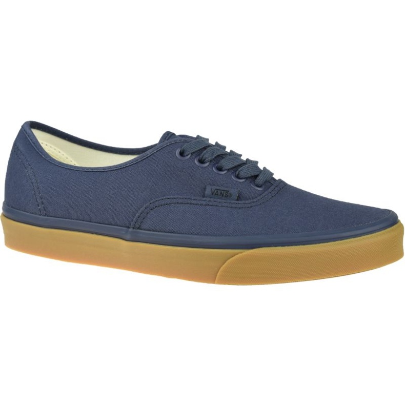 Vans Authentic Canvas M VN0A2Z5IWM9 Schuhe blau