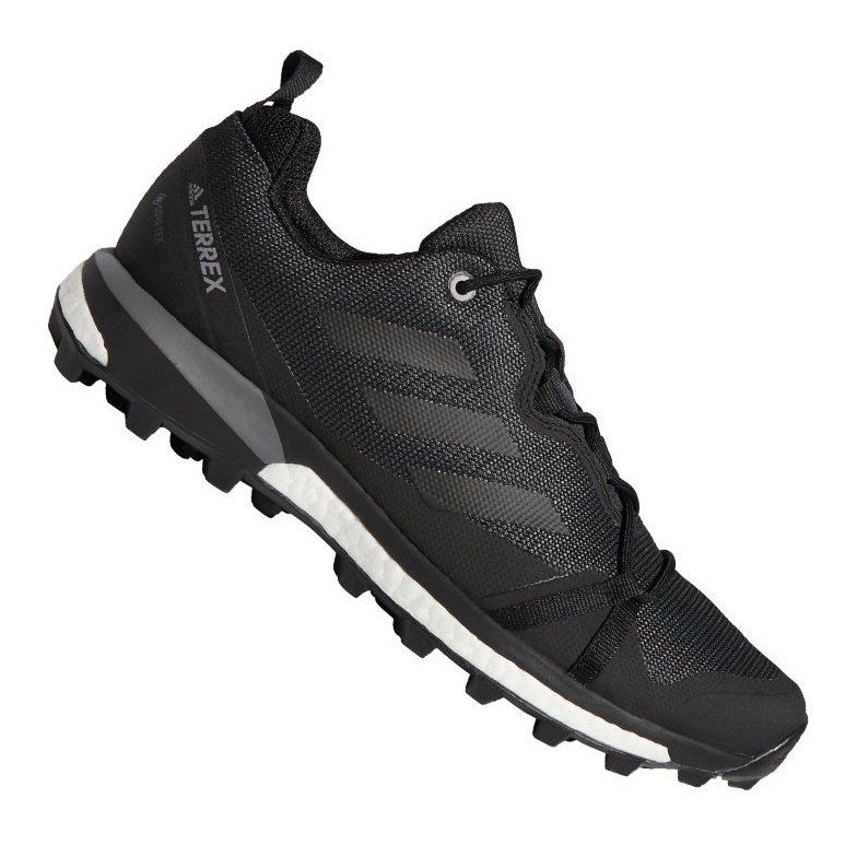 Schuhe adidas Terrex Skychaser Lt Gtx M F36099 schwarz
