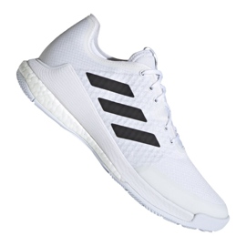 Adidas Crazyflight M FW8237 Volleyballschuhe mehrfarbig weiß