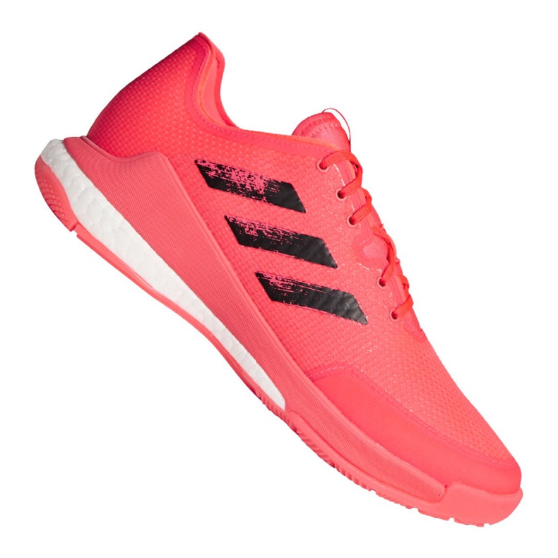 Adidas Crazyflight Tokyo M FX1764 Volleyballschuhe mehrfarbig rosa