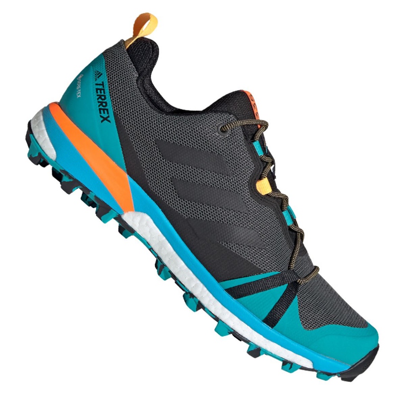 Adidas Terrex Skychaser Lt Gtx M FX0148 Schuhe mehrfarbig blau