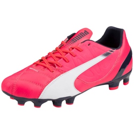 Fußballschuhe Puma Evo Speed ​​​​3.3 Fg 103014 03 rosa rosa