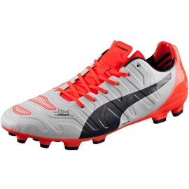 Puma Evo Power 1.2 Ag 103213 05 Fußballschuhe grau