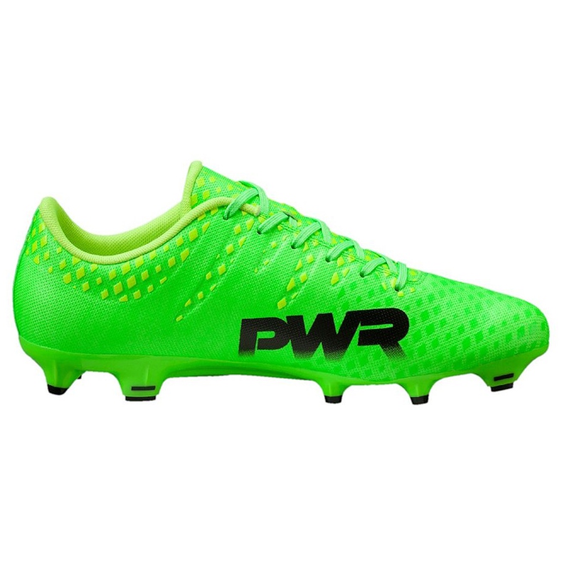 Fußballschuhe Puma Evo Power Vigor 3 Fg grün 103956 01