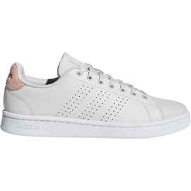 Adidas Advantage Damenschuhe beige F36480