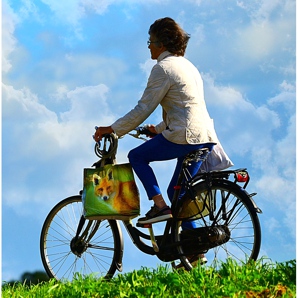 Welche Fahrradschuhe sind die besten?