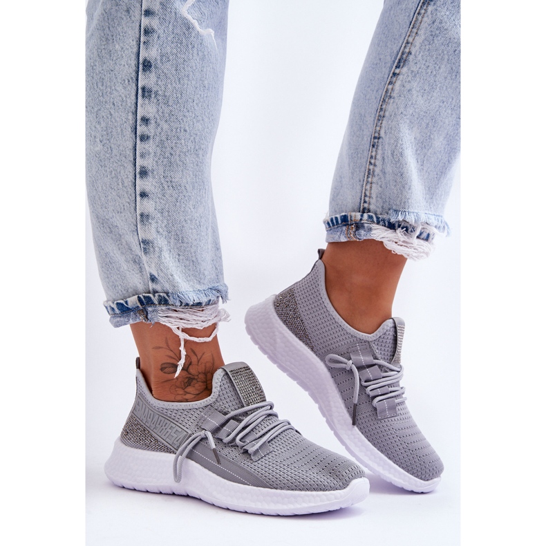 PM1 Grau, halt mich! 2