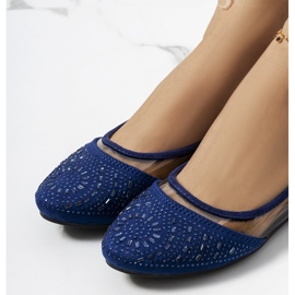 Halbtransparente Malene-Ballerinas in Marineblau 1