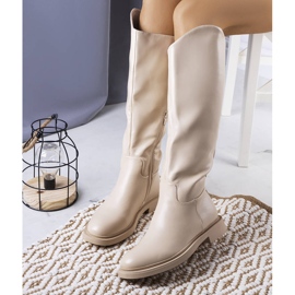 Prinio beige isolierte Stiefel 1