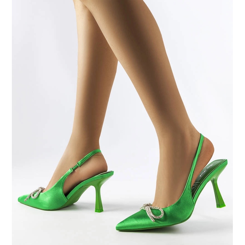 Grüne Absätze mit Wildrose-Schleife 2