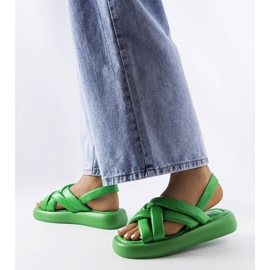 Grüne Primeau-Plateaurutschen 1