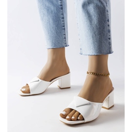 Weiß lackierte Klappen am Abzweigpfosten 1