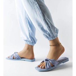 Pride-Hausschuhe aus blauem Öko-Wildleder 2