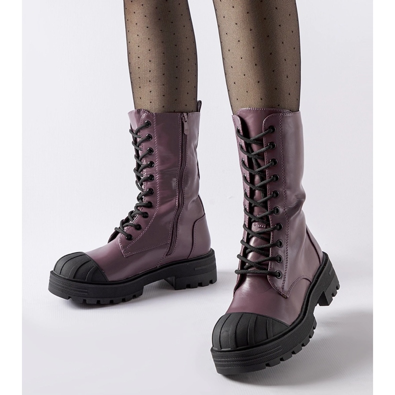 Lila isolierte Cardinale-Arbeiter violett 1