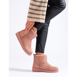 Rosa Shelovet-Frauenschleim 1