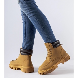 Braune, isolierte, matte Conroe-Arbeiter 1