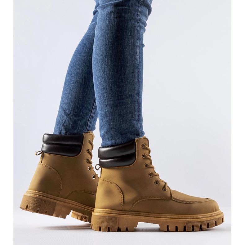 Braune, isolierte, matte Conroe-Arbeiter 2