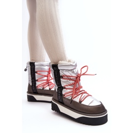 D.Franklin Damenschneeschuhe auf einer dicken veganen Sohle DFSH371006 Silber 1