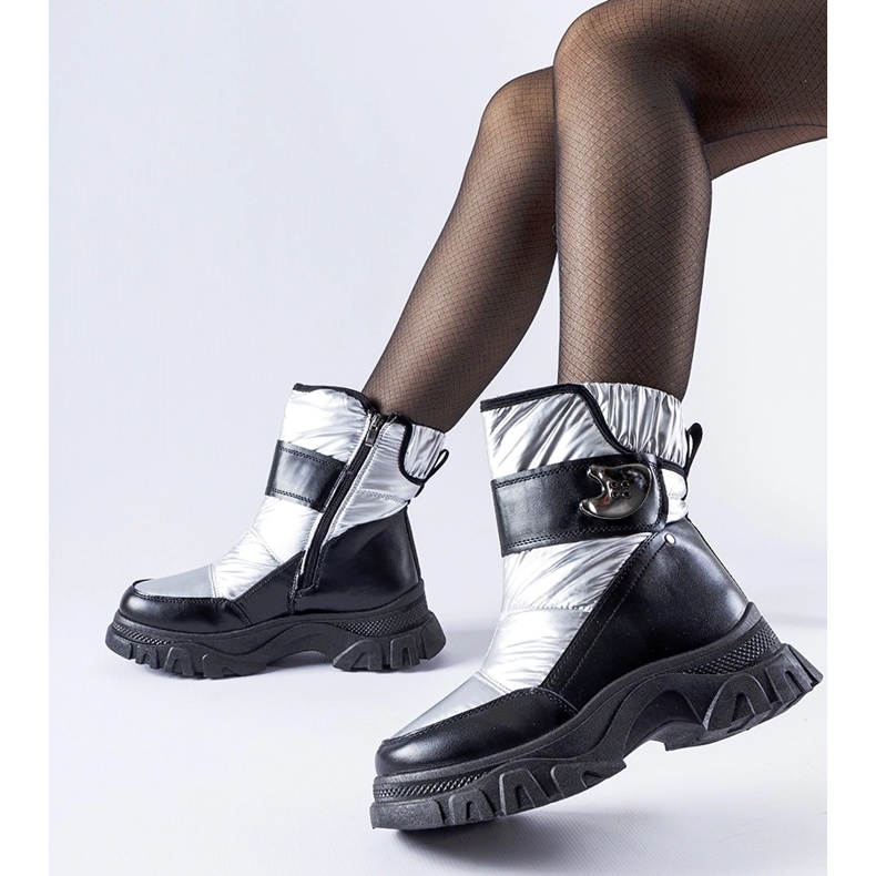 Schwarze und silberne isolierte Carta-Schneestiefel silber- 1