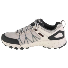 Columbia Peakfreak Ii Outdry M 2005101020 Schuhe grau 1