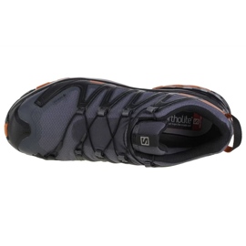 Salomon Xa Pro 3D v8 Gtx Wide M Laufschuhe 410428 grau 2