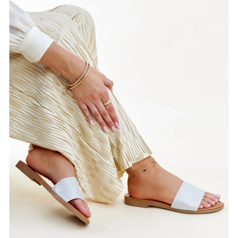 Silberglänzende Anilsa-Flip-Flops 1