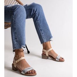 Silberne Salsabi-Sandalen mit niedrigem Absatz silber- 2
