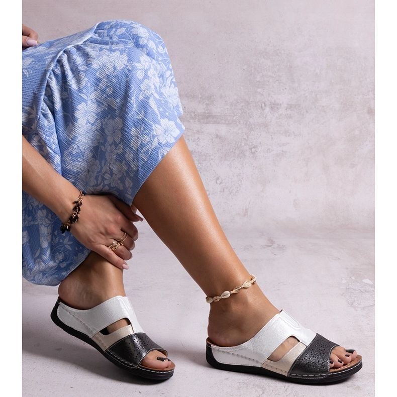 Schwarz-weiß glänzende Saminar-Slides 1