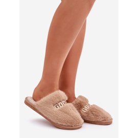 Damenhausschuhe mit Fell und Aufschrift beige 1