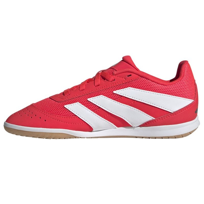 Adidas Predator Club Sala in JR3126 rote Schuhe 1