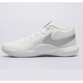 Nike Hyperquick FN4678-102 Volleyballschuhe weiß 1