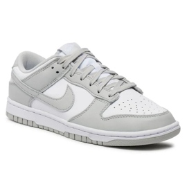 Nike Dunk Low Retro DD1391-103 Schuhe grau 1