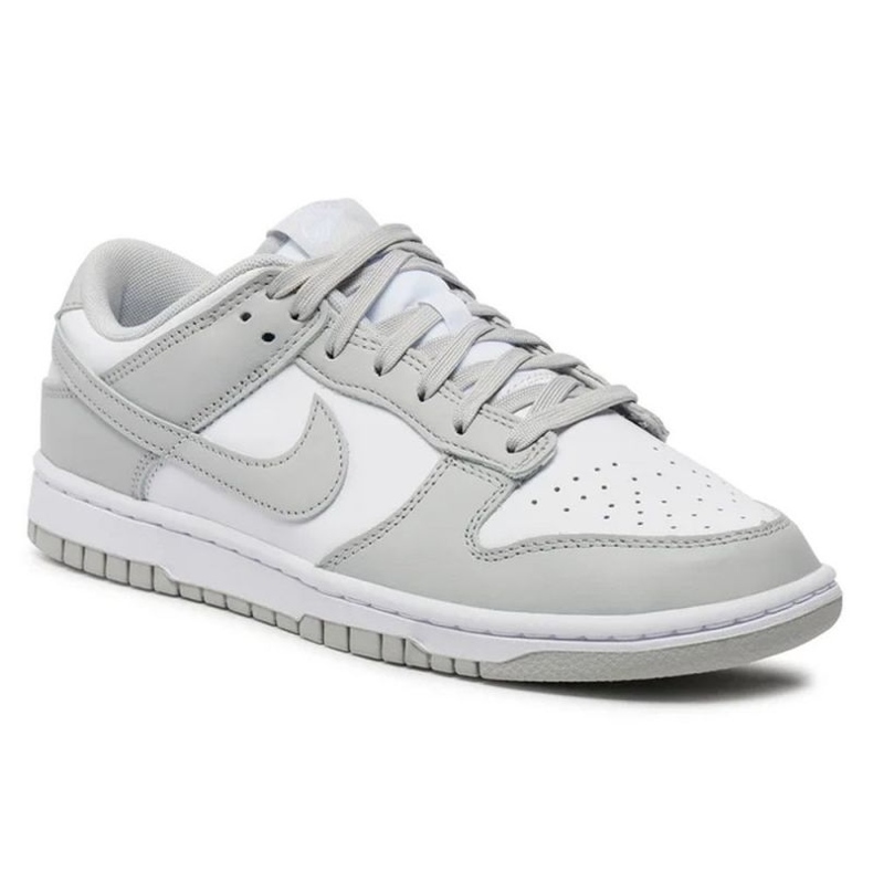 Nike Dunk Low Retro DD1391-103 Schuhe grau 1