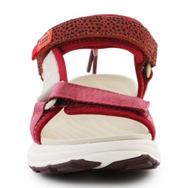 Sandalen D.Franklin Sneakers Sandalenstreifen DFSH406003-Burg rot 2