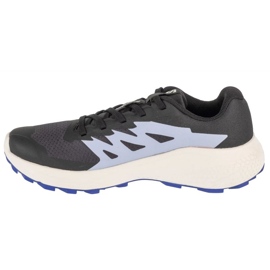 Salomon Alphaglide L47801800 Laufschuhe schwarz 1