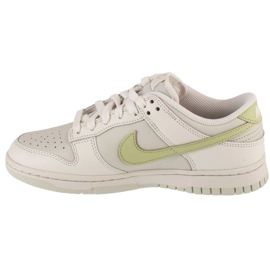 Nike Dunk Low Shoes in IB3484-001 1