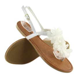 Weiße Sandalen mit Blumen CK36P Weiß 2