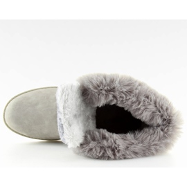 Holzstiefel, isoliert grau BL137P Grau 1