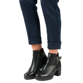 Anesia Paris schwarze Beute auf einem Pfosten 1