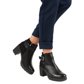 Anesia Paris schwarze Beute auf einem Pfosten 2