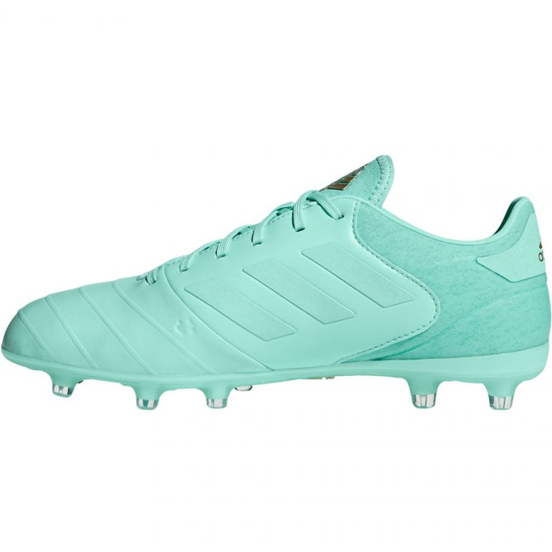 Adidas Copa 18.2 FG M DB2446 Fußballschuhe blau 2